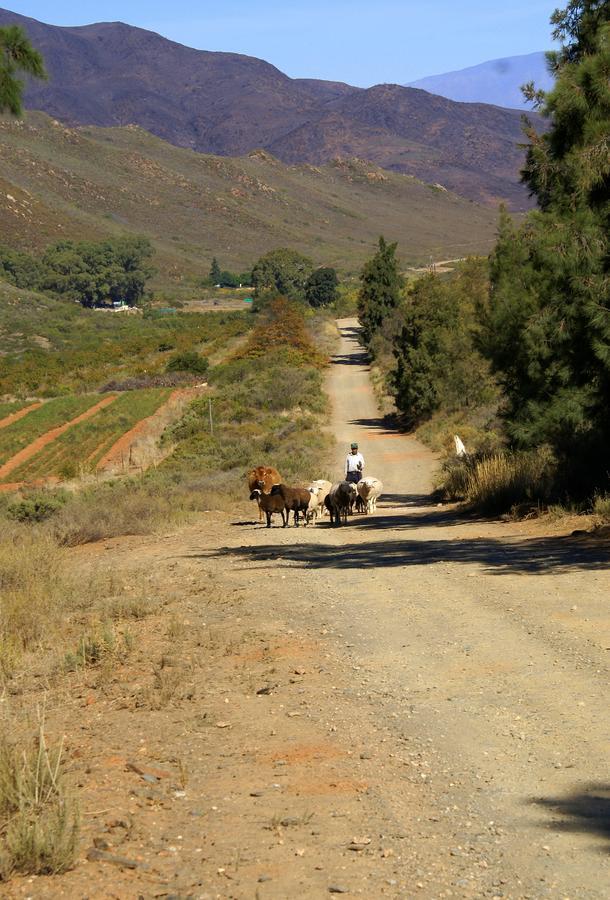 רוברטסון Tierhoek Cottages מראה חיצוני תמונה